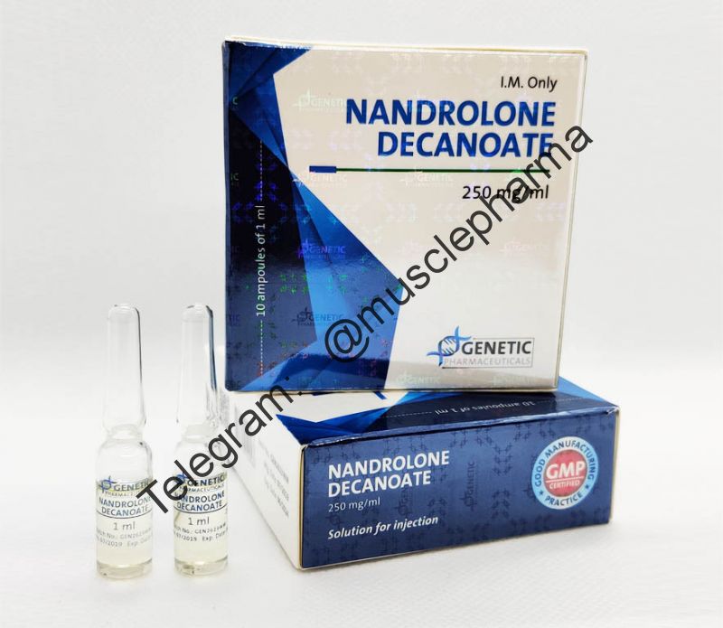 Nandrolone Decanoate (ДЕКАНОАТ). Genetic. 250 мг/мл. 1 амп * 1 мл.