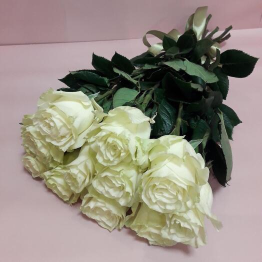Белые розы Эквадорские 90-100 см