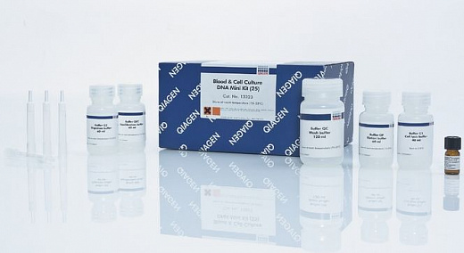 Набор Blood & Cell Culture DNA Mini Kit для выделения высокомолекулярной ДНК из крови и клеточных культур