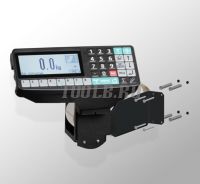 4D-U-1-1000-RP Весы паллетные напольные электронные с печатью этикеток фото