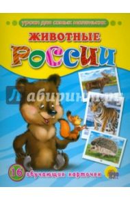 Обучающие карточки. Животные России