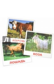 Комплект карточек "Домашние животные" (16,5х19,5 см)