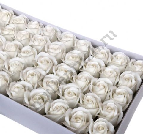 Розы пенные, Белый