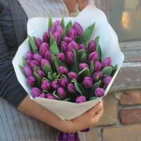 Фиолетовые тюльпаны в оформлении