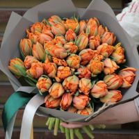 Оранжевые тюльпаны махровые (от 15 шт.)