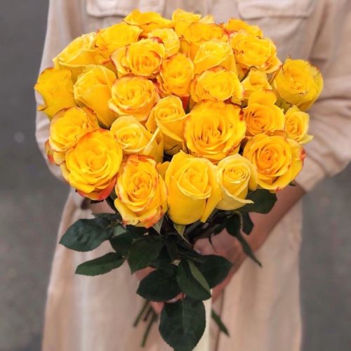 Желтая Эквадорская роза