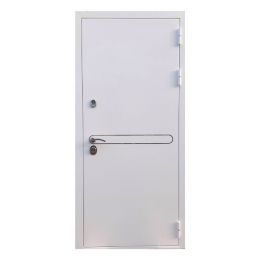 Дверь REX 27 Белая шагрень металлическая