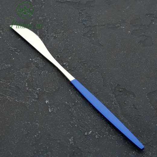 Нож столовый Magistro «Блинк», 22 см, цвет серебро, синяя ручка, на подвесе