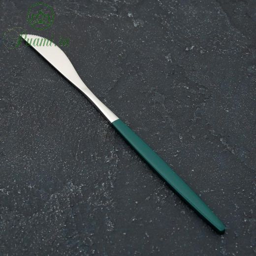 Нож столовый Magistro «Блинк», 22 см, цвет серебро, зелёная ручка, на подвесе
