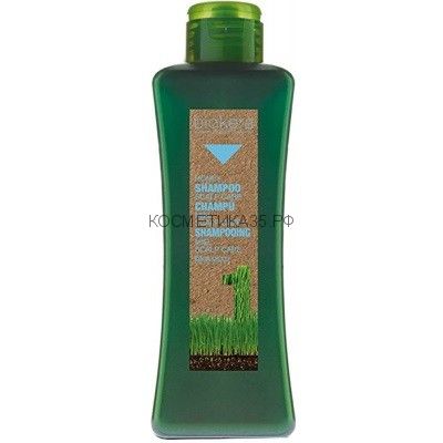 Biokera Медовый шампунь для чувствительной кожи головы 300 мл. Salerm  Champú Scalp Care