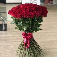 Розы Красные (60 см) Эквадор