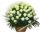 Траурная корзина из живых цветов N92