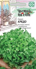 Салат листовой Кредо (Гавриш)