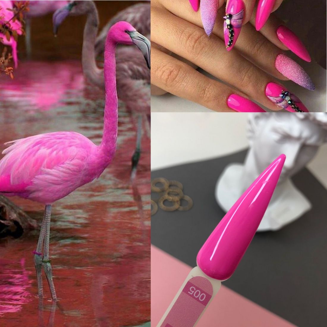 Гель-лак BioLucky Flamingo №005