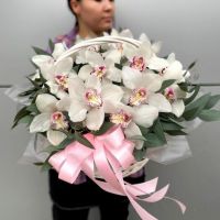 Корзина «Орхидея Цимбидиум»