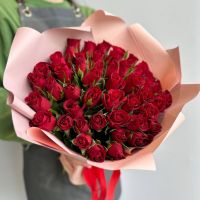51 красная роза 40 см Кения Акция