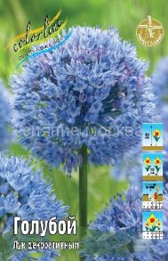 Лук декоративный (Аллиум) голубой / (Allium caeruleum), 5/+, 1 шт