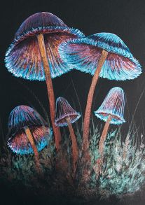 Волшебные грибочки