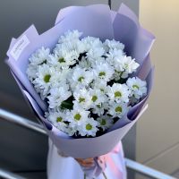 5 белых хризантем-ромашек в красивой упаковке
