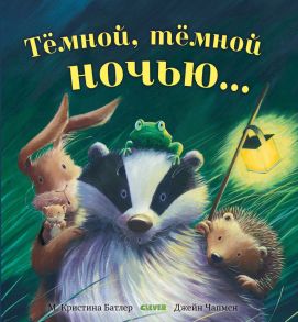 Книжки-картинки. Тёмной, тёмной ночью