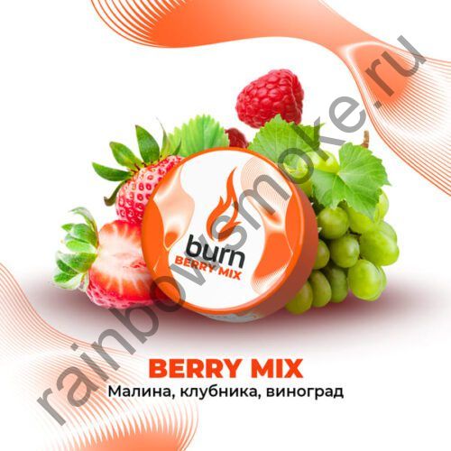 Burn 100 гр - Berry Mix (Бэрри Микс)