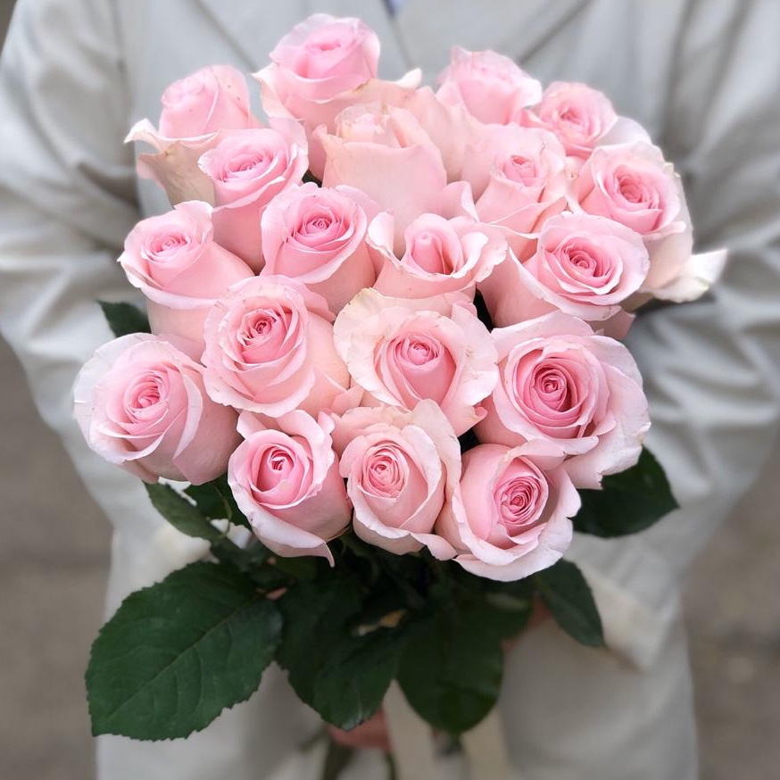 Букет из красивых розовых роз с крупным бутоном Эквадор  длина  50 - 60  см (от 15 роз)