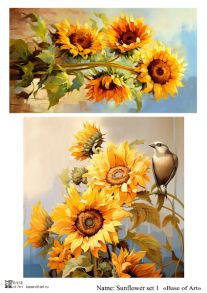Sunflower set 1
