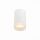Светильник Потолочный ST-Luce ST100.502.01 Белый GU10 1*50W IP20 D64xH99 220V Без Ламп / СТ Люче