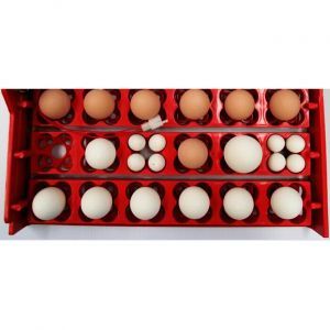 Аксессуар для инкубатора SITITEK 48,96,112: универсальные лотки в сборе на 36/144 яиц