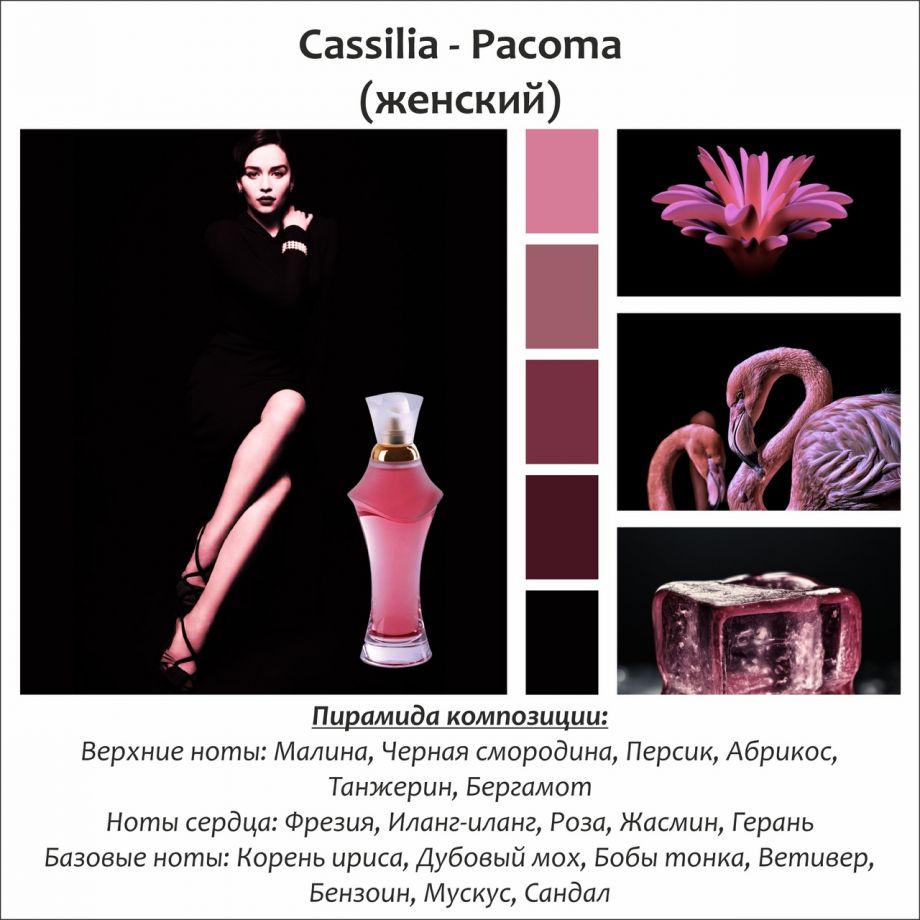 ~Cassilia (w) ~