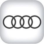 Дефлекторы на Audi