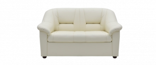 Диван двухместный Триумф (V-300) (V-300/6 2-х местный диван без подлокотников)