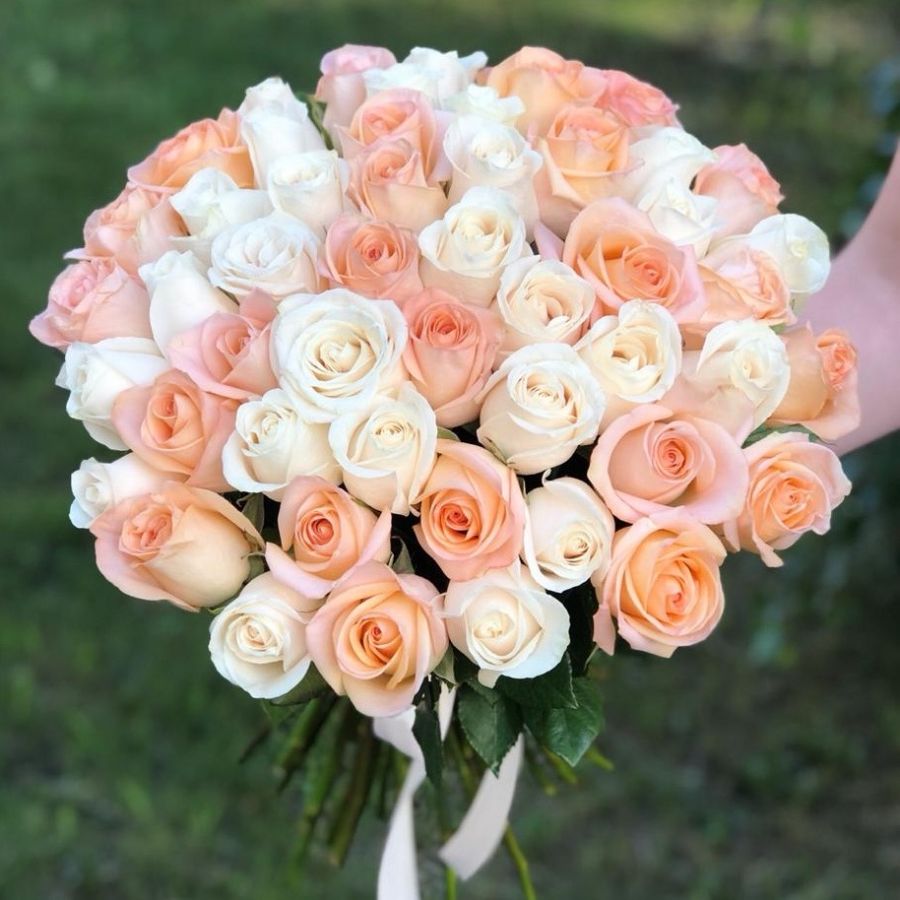 51 роза Эквадор бело-персиковый микс