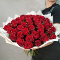 51 красная роза 50 см (средний бутон)