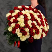 Эквадорские розы красно-белые 70 см. (11, 13, 15...шт.)