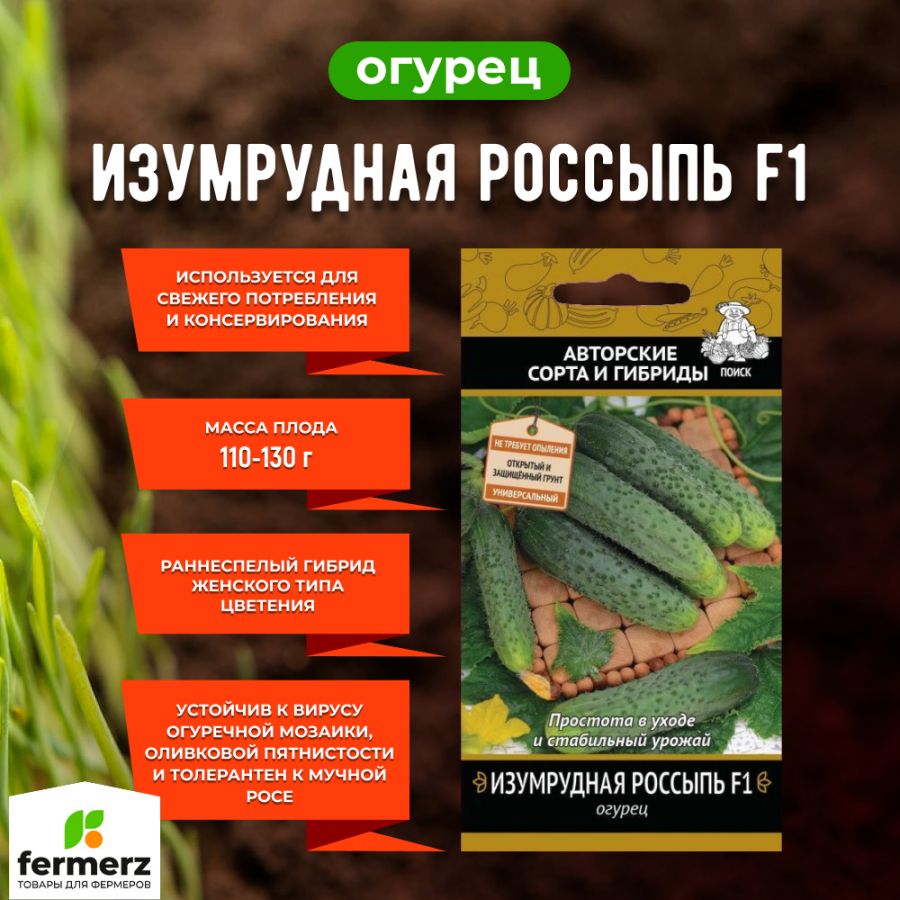 Огурцы изумрудная россыпь отзывы. Семена изумрудная россыпь. Огурец изумрудный водопад f1. Изумрудная россыпь огурец описание. Изумрудные серёжки огурцы.