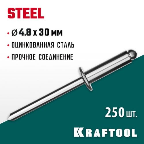 KRAFTOOL 4.8 х 30 мм, 250 шт., стальные заклепки Steel 311703-48-30