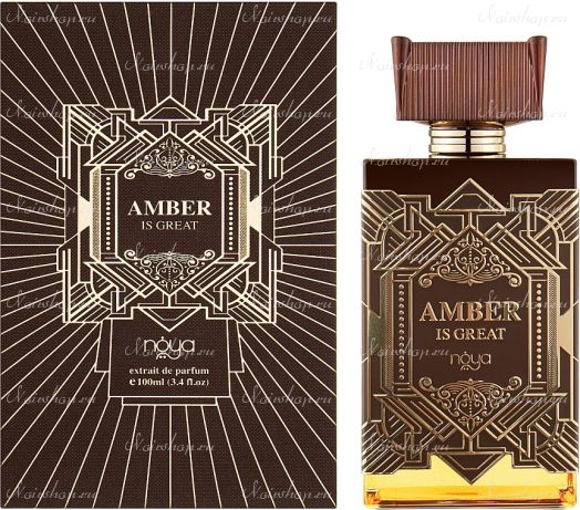 Zimaya Perfumes Noya Amber Is Great