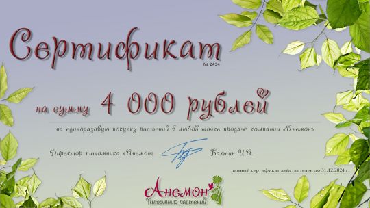 Подарочный сертификат на растения (4 000 рублей)