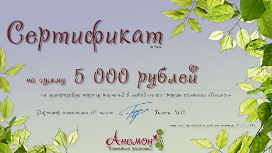 Подарочный сертификат на растения (5 000 рублей)