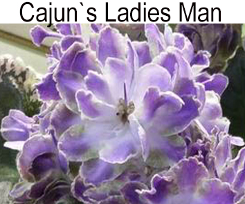 Cajun s Ladies Man (B. Thibodeaux)