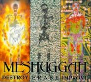 MESHUGGAH - Destroy Erase Improve