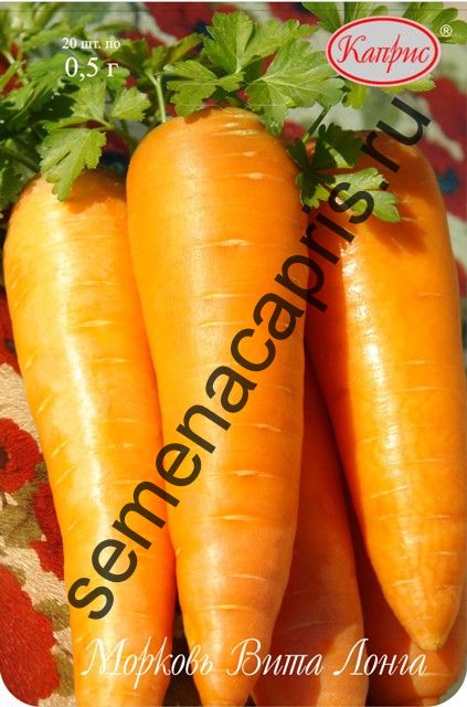 Морковь Вита Лонга (Нидерланды)