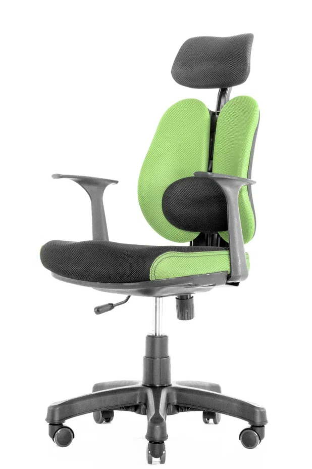 Анатомическое кресло для школьников Duo Gini (Зелёное)