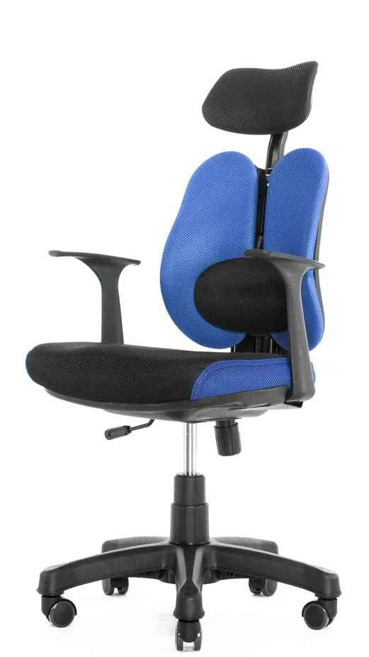 Анатомическое кресло для школьников Duo Gini (Синее)