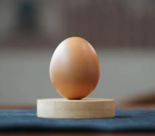 Фокус Платок в яйце Real Egg настоящая скорлупа