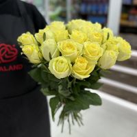Жёлтая роза из Кении (40см)