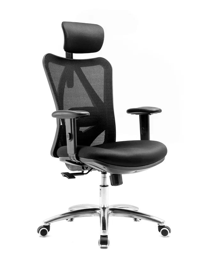 Эргономичное ортопедическое кресло Viva (Каркас чёрный/ сетка чёрный)
