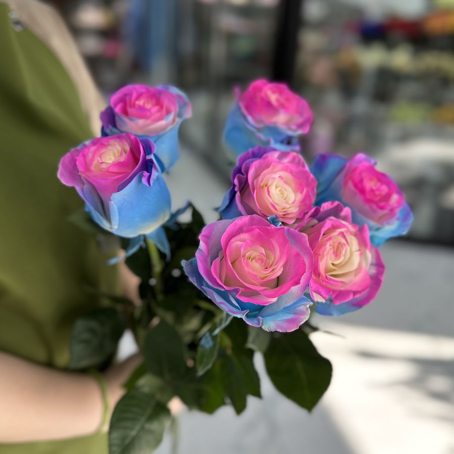 Радужная роза из Эквадора Barbie Star (60см)
