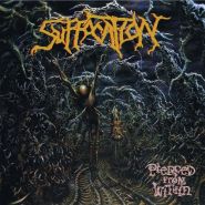 SUFFOCATION - Pierced From Within CD DIGIPAK